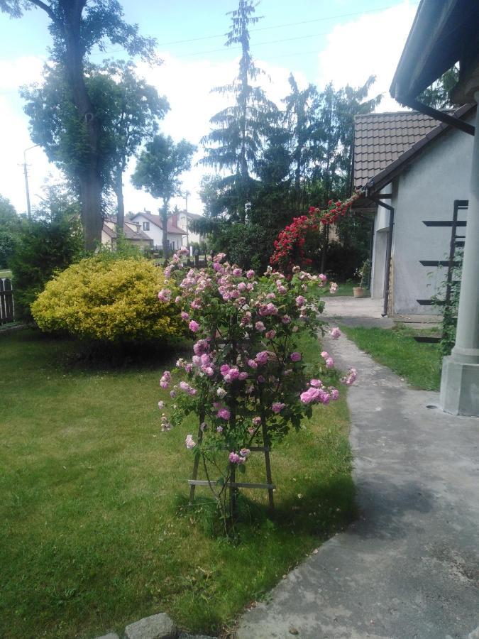Piernikowy Dworek Lubicz Luaran gambar